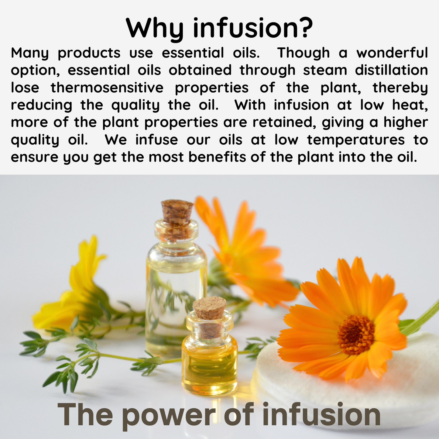 Organic Whipped Body Butter